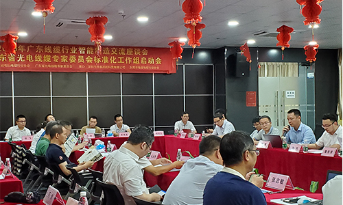 華磊迅拓受邀為MES廠商代表，與廣東光電線纜委員會共同承辦2019廣東線纜行業(yè)智能制造交流座談會